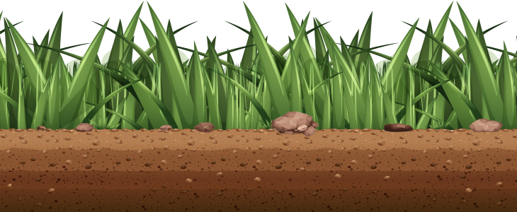 Grass Graphic Grass Graphic
