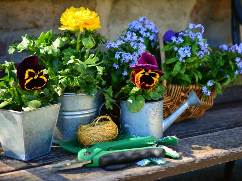 preparazione del terriccio